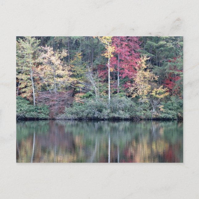 Postal Caída en Oneida, TN (Anverso)