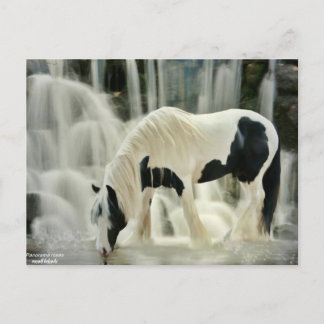 Postal caídas, caballo, río, hermosa vista