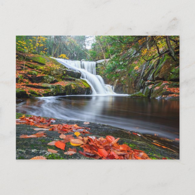 Postal Caídas de Ender en otoño (Anverso)