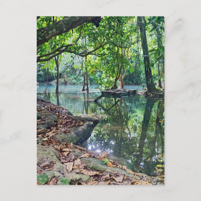 Postal Caídas de Khoung Si, lago forest, Laos (Anverso)