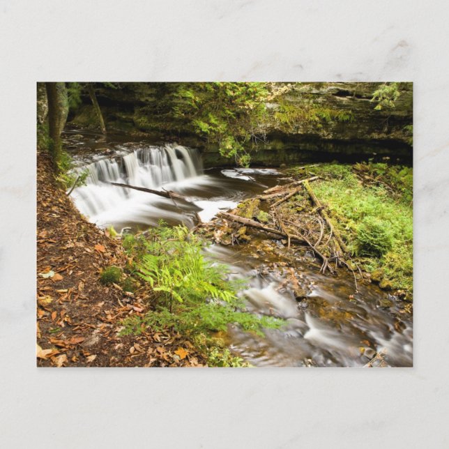 Postal Caídas de mosquitos (Anverso)