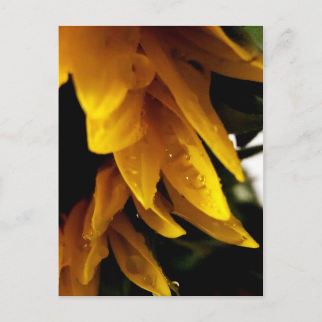 Postal Caídas de sol (Anverso)