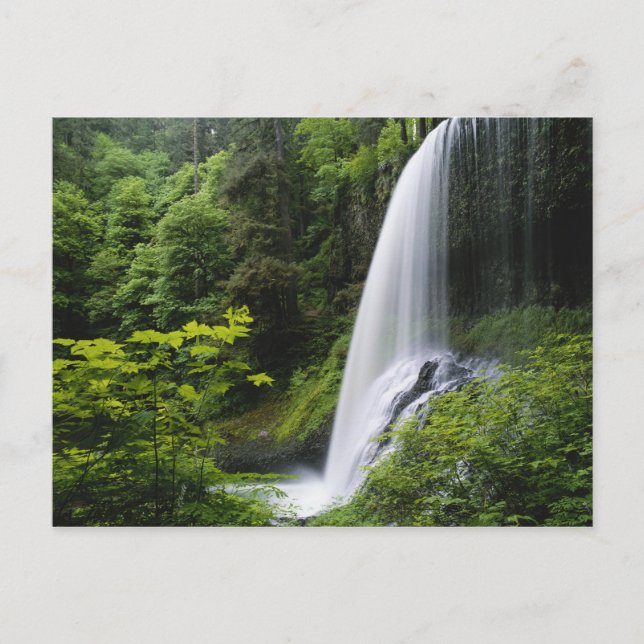 Postal Caídas del Norte Medio, Parque Estatal Silver Fall (Anverso)