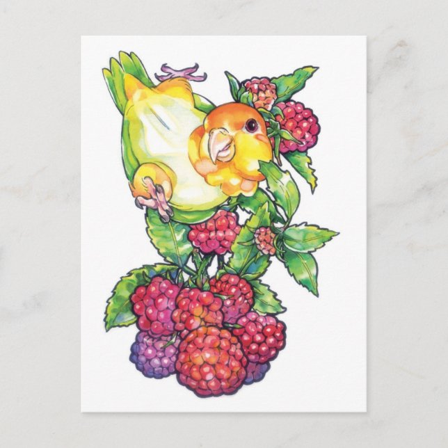Postal Caique con frambuesa (Anverso)