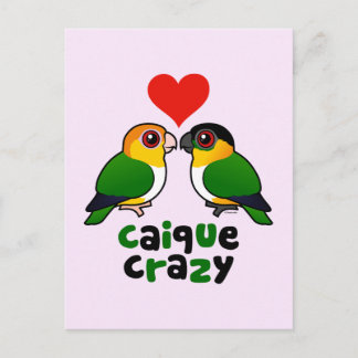 Postal Caique Crazy