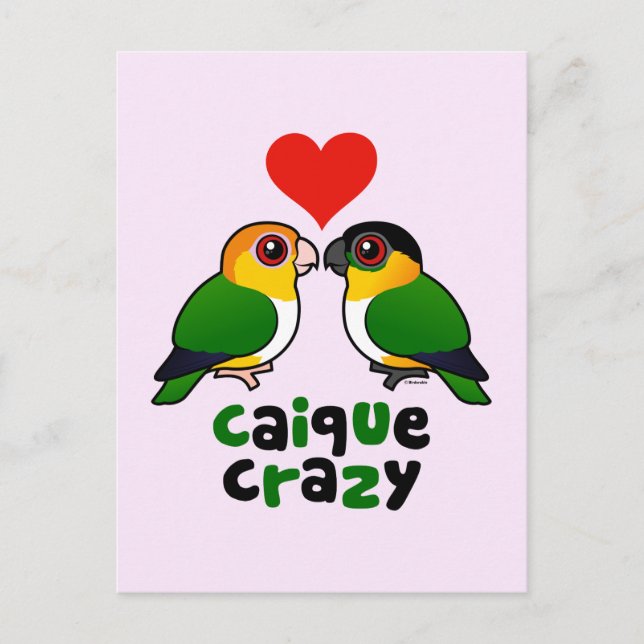 Postal Caique Crazy (Anverso)