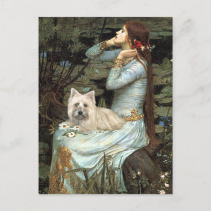 Postal Cairn Terrier 4 - Asiento de Ophelia