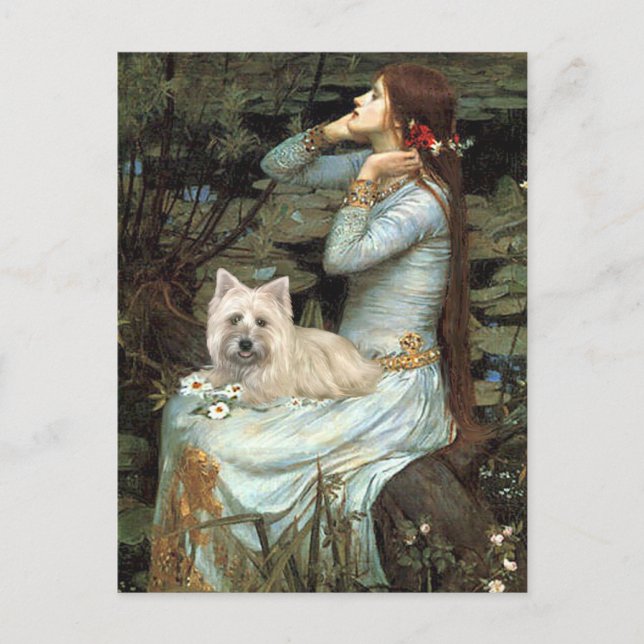 Postal Cairn Terrier 4 - Asiento de Ophelia (Anverso)