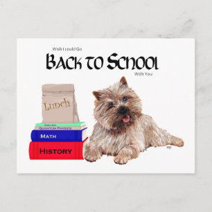 Postal Cairn Terrier De Vuelta a la Escuela
