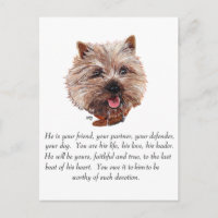 Cairn Terrier Recuerdo - Macho