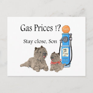 Postal Cairn Terriers Precios de la gasolina ?!!