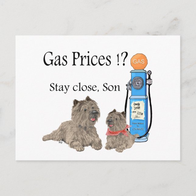 Postal Cairn Terriers Precios de la gasolina ?!! (Anverso)