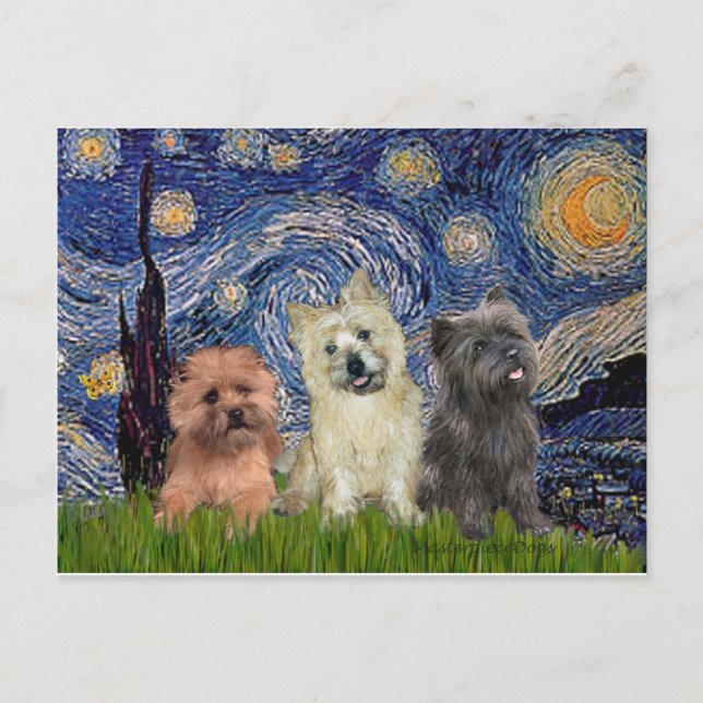 Postal Cairn Terriers (tres) - Noche estrellada (Anverso)