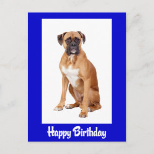 Postal Caja de Feliz Cumpleaños Cachorro Boxer Perro Azul