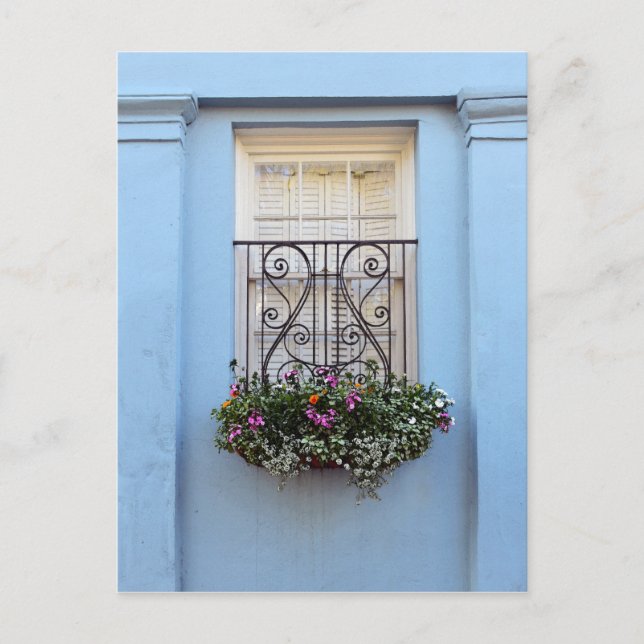 Postal Caja de flor de línea arco iris, Charleston, S.C. (Anverso)
