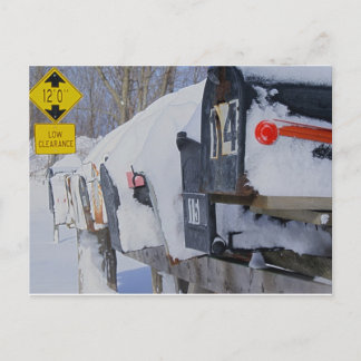 Postal Caja De Hielo