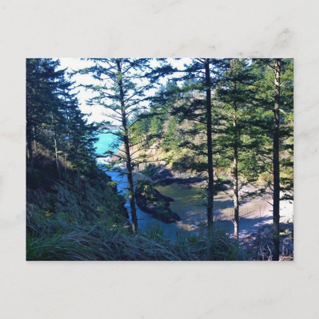 Postal Cala de Dead Man, Cabo Desesperación, Washington (Anverso)