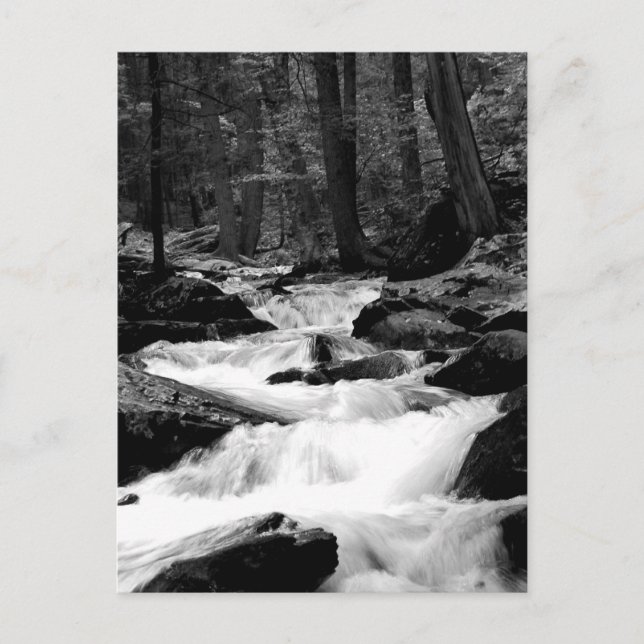 Postal Cala del funcionamiento de la charca (Anverso)