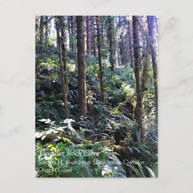 Postal Cala Thunder Rock, Samuel H. Boardman, Oregon (Anverso)