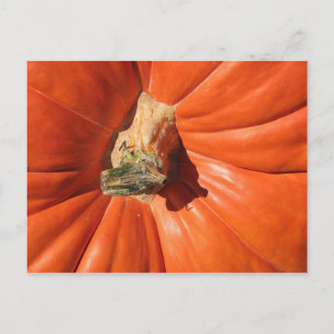 Postal Calabaza