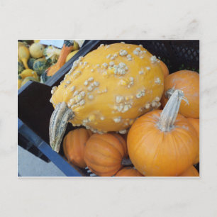 Postal Calabaza advertida