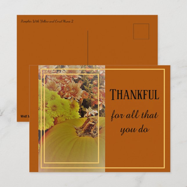 Postal Calabaza con Crisantemos 2 / Agradecido (Anverso / Reverso)