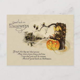 Postal Calabaza de árbol de linterna de búho Jack