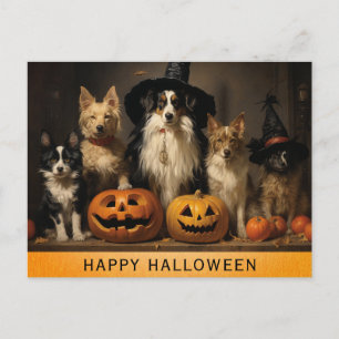 Postal Calabaza de bruja de perro lindo de Halloween