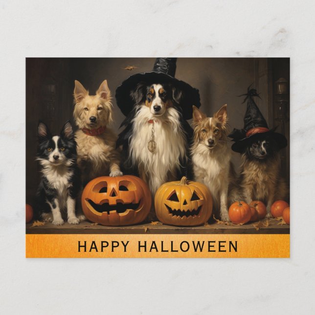 Postal Calabaza de Brujas de Perro Cuto de Halloween (Anverso)