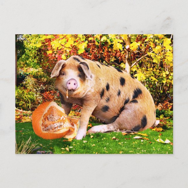 Postal "Calabaza de Buffy" (Anverso)