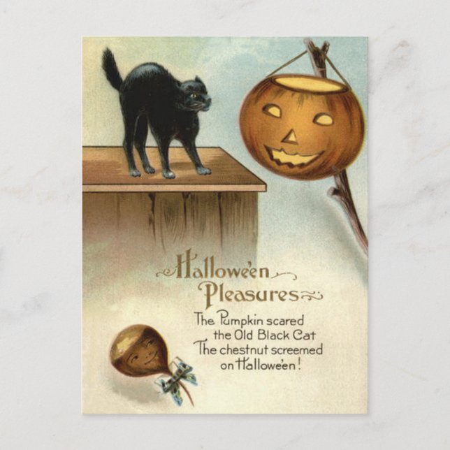 Postal Calabaza de castañas para gato negro Jack O' Lante (Anverso)