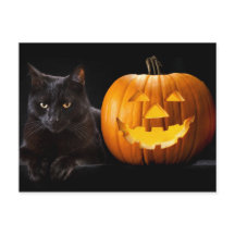 Calabaza de Halloween y gato negro