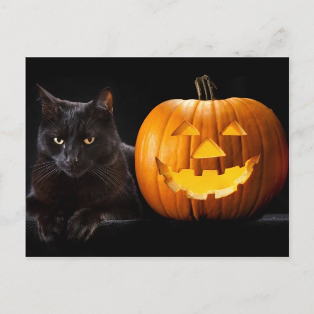 Postal Calabaza de Halloween y gato negro (Anverso)