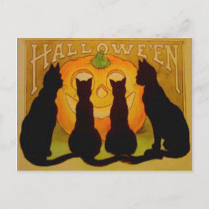Postal Calabaza de Jack O Lantern Gato Negro