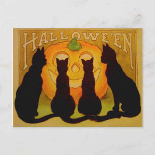 Postal Calabaza de Jack O Lantern Gato Negro (Anverso)