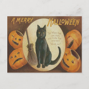 Postal Calabaza de Jack O' Lantern Gato Negro Escoba
