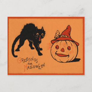 Postal Calabaza de Jack O Lantern Gato Negro Sombrero de