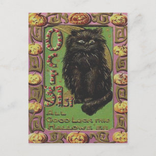 Postal Calabaza de Linterna Jack Gato Negro