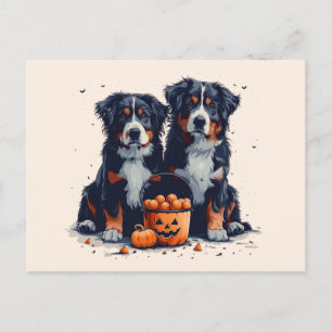 Postal Calabaza de perros de montaña de Halloween Bernese