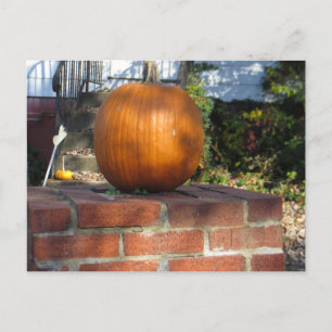 Postal Calabaza de Pilar
