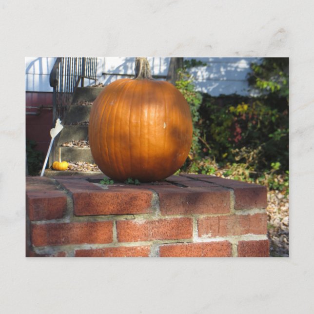 Postal Calabaza de Pilar (Anverso)