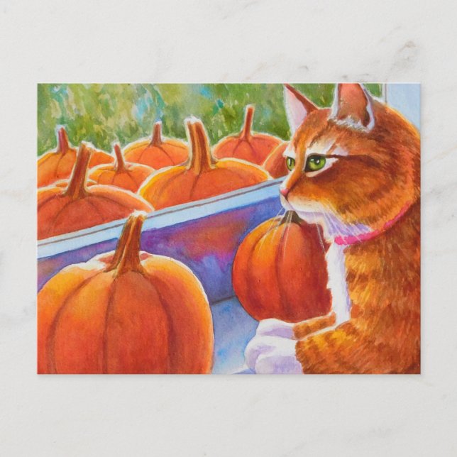 Postal Calabaza, gato calabaza (Anverso)