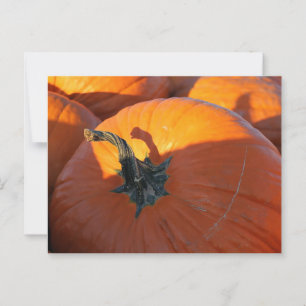 Postal Calabaza grande Naranja