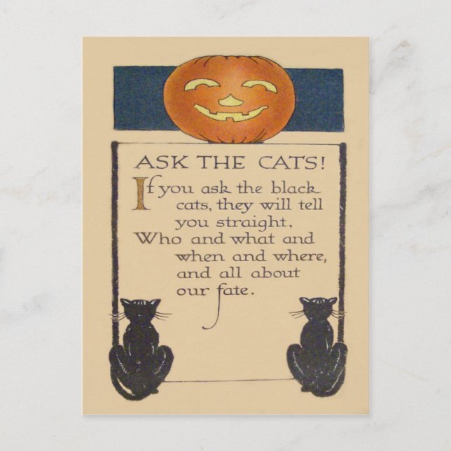 Postal Calabaza Linterna de Gato Negro (Anverso)