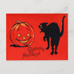 Postal Calabaza Linterna de Jack Gato Negro