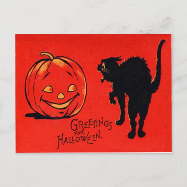 Postal Calabaza Linterna de Jack Gato Negro (Anverso)