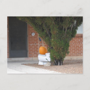 Postal calabaza sentada en el baño