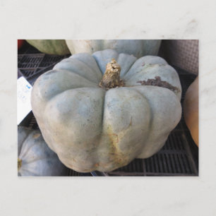 Postal Calabaza verde