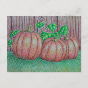 Postal Calabazas