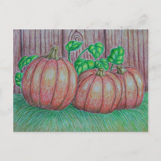 Postal Calabazas (Anverso)